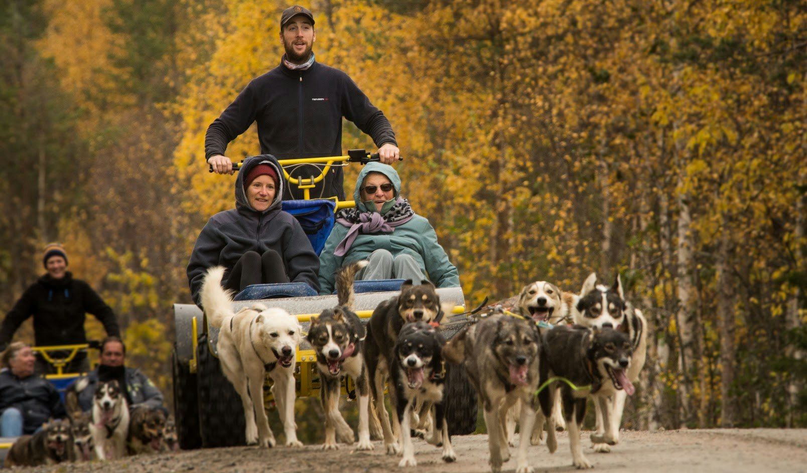 Husky Training & Kennel Visit