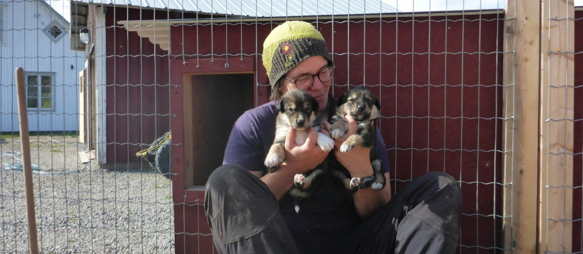 Husky Training & Kennel Visit