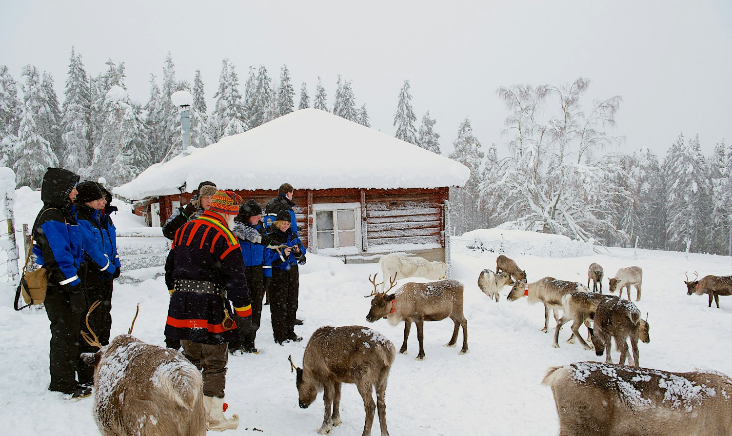 Besök hos en samisk familj