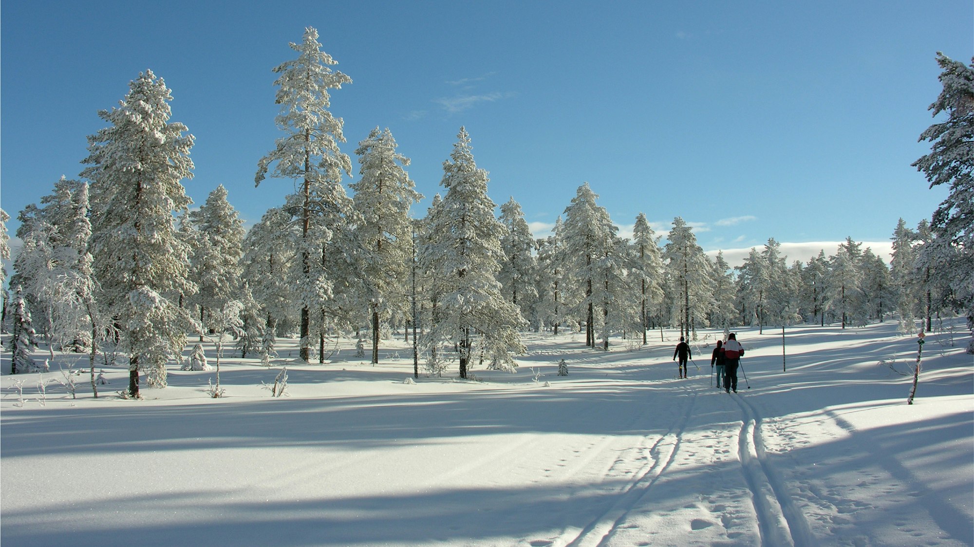 Längdskidåkning