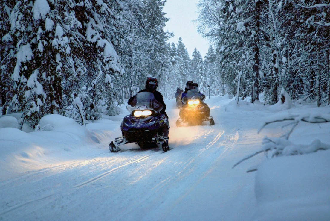 Snöskotersafari heldag