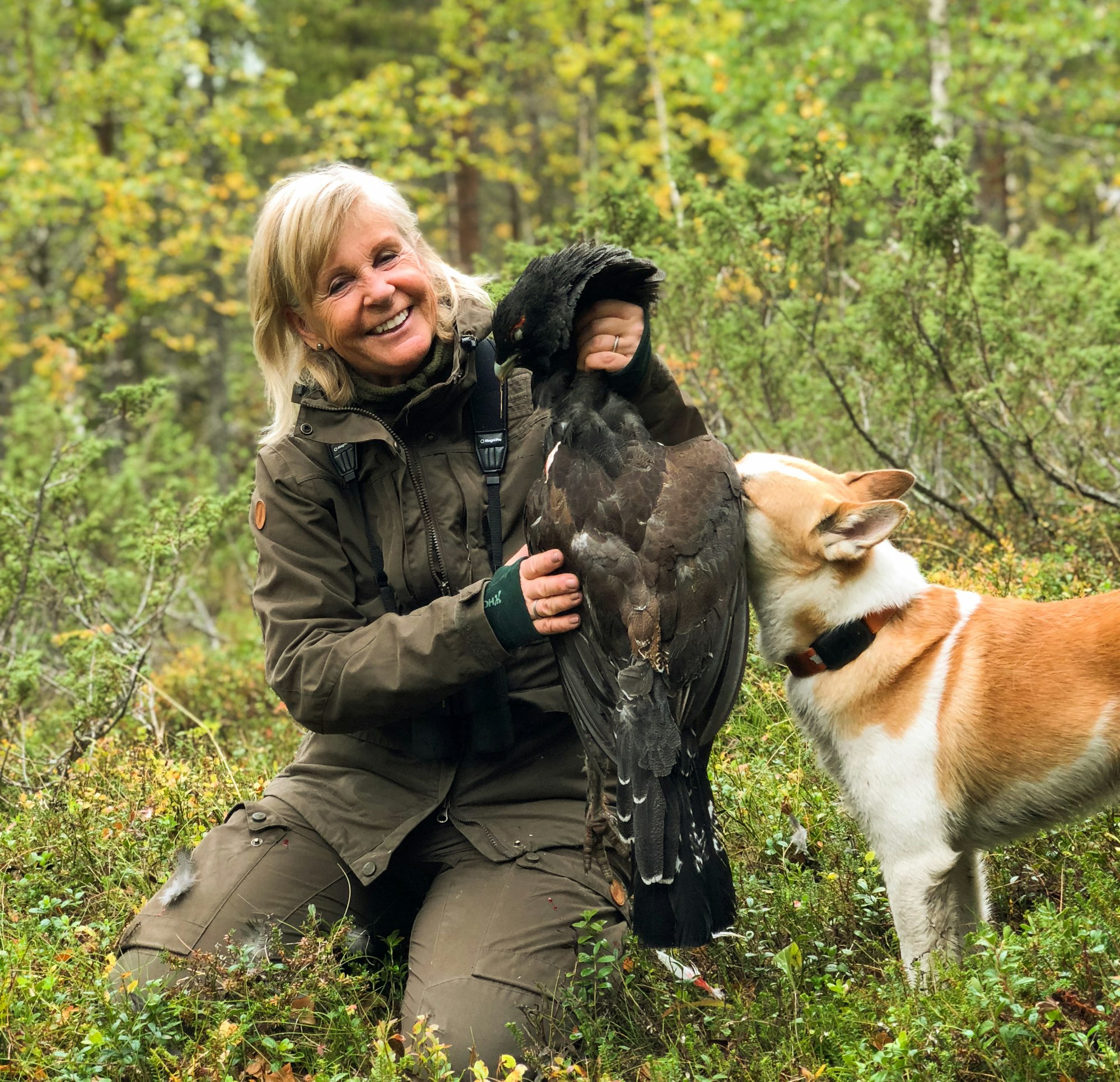 Guided hunting in the forest
